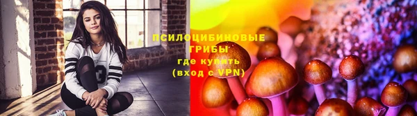 PSILOCYBIN Дмитровск