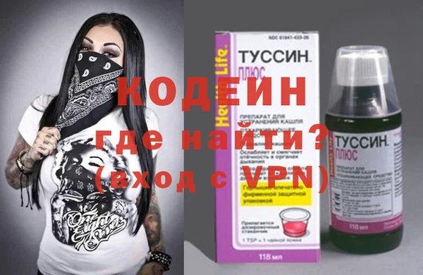 шишки Шали