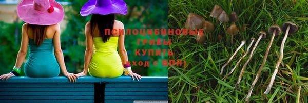 PSILOCYBIN Дмитровск