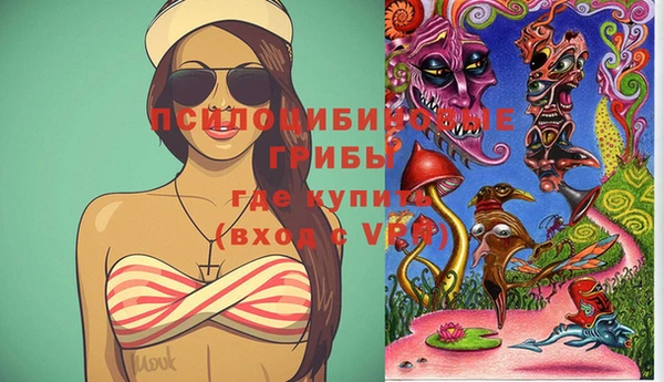 Альфа ПВП Гусиноозёрск