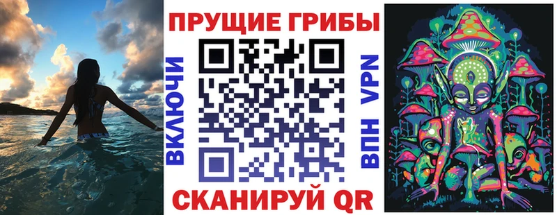 Галлюциногенные грибы Psilocybe купить сайты Омутнинск